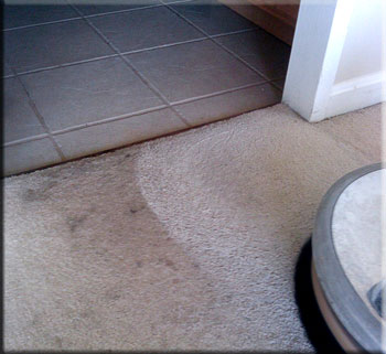 carpet cleaning before/after