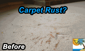 carpet cleaning